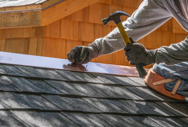 Best Solar Panel Roofing Installation  in Dublin, GA